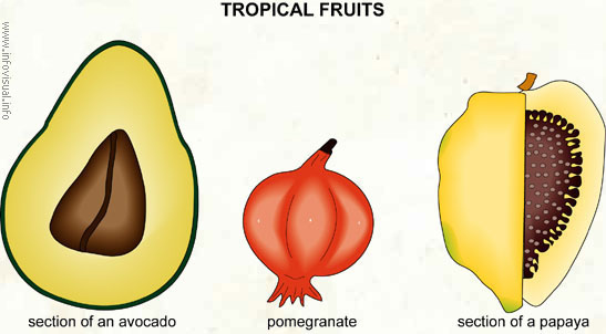 Tropical fruits (2)