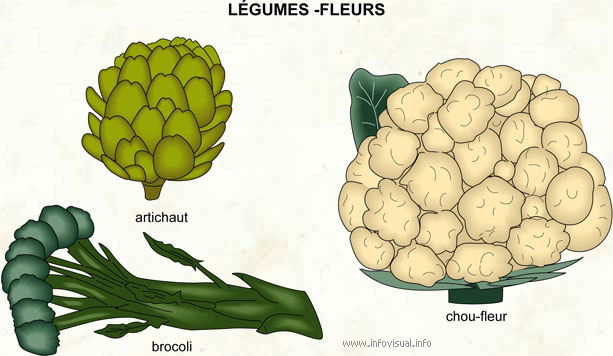 Légumes - fleurs