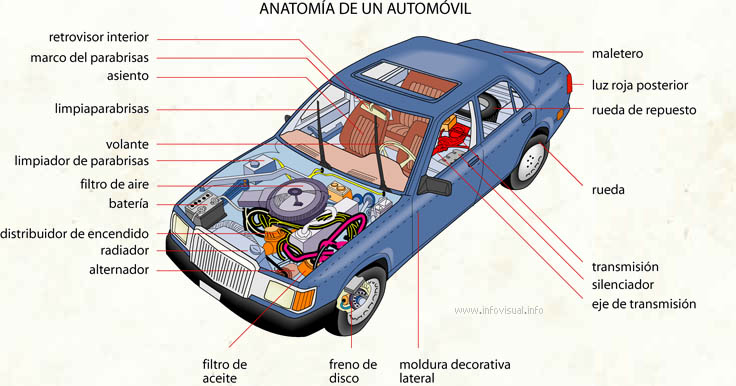 Anatomía de un automóvil