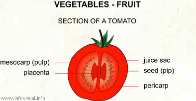 Vegetables - fruit