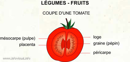Légumes - fruits