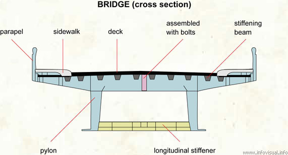 Bridge (cross section)