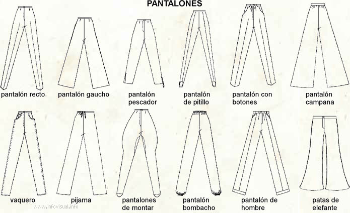 Pantalones El Diccionario Visual